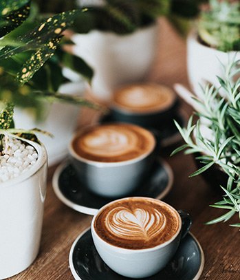 Summer 2018 Arrivals